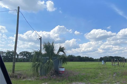 Terreno en venta en Chiefland, Florida № 1658058 - foto 6
