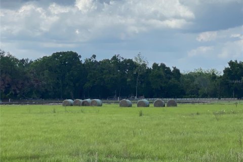 Terreno en venta en Chiefland, Florida № 1658058 - foto 18