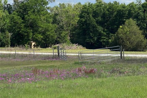 Terreno en venta en Chiefland, Florida № 1658058 - foto 22