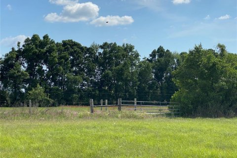 Terreno en venta en Chiefland, Florida № 1658058 - foto 29