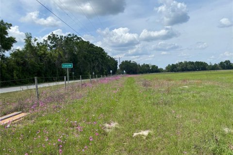 Terreno en venta en Chiefland, Florida № 1658058 - foto 21