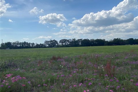 Terreno en venta en Chiefland, Florida № 1658058 - foto 26