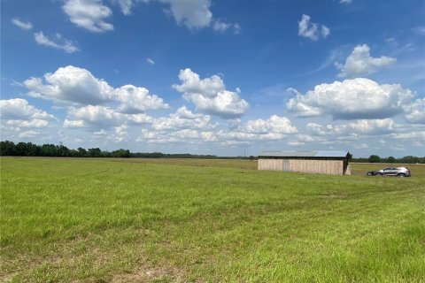 Terreno en venta en Chiefland, Florida № 1658058 - foto 1