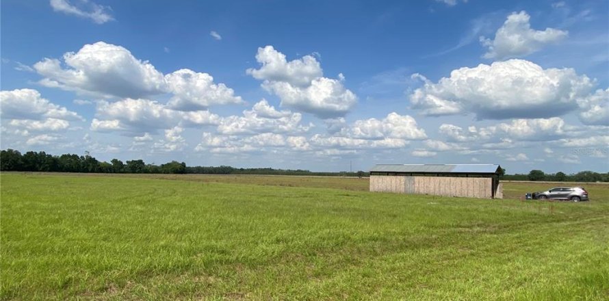 Terreno en Chiefland, Florida № 1658058
