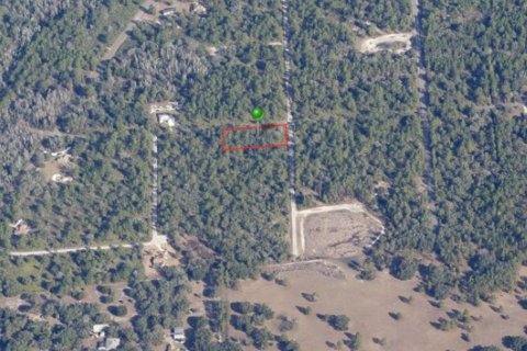 House in Crystal River, Florida 3 bedrooms, 134.99 sq.m. № 1733479 - photo 8