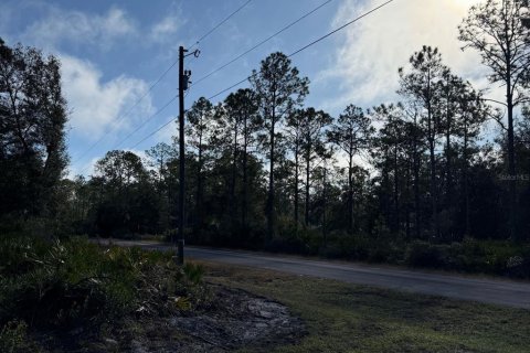 House in Crystal River, Florida 3 bedrooms, 134.99 sq.m. № 1733479 - photo 10