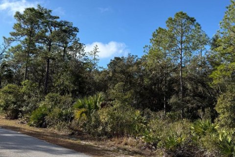 House in Crystal River, Florida 3 bedrooms, 134.99 sq.m. № 1733479 - photo 7