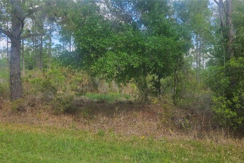Land in Indian lake estates, Florida № 2214114 - photo 3