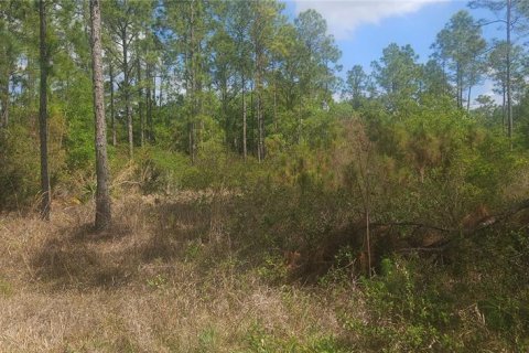 Land in Indian lake estates, Florida № 2214114 - photo 4