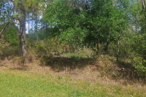 Land in Indian lake estates, Florida № 2214114