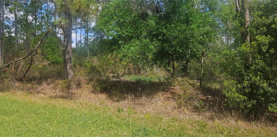 Land in Indian lake estates, Florida № 2214114
