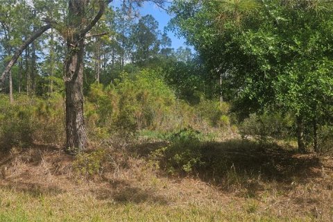 Land in Indian lake estates, Florida № 2214114 - photo 2