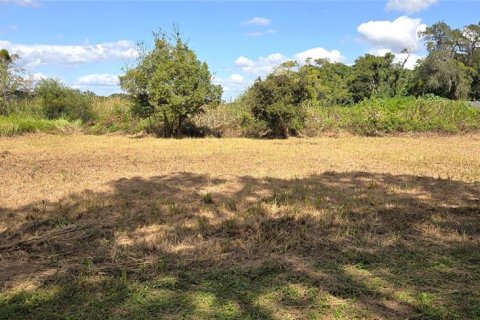 Land in Orlando, Florida № 2115401 - photo 14