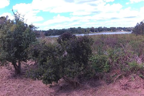 Land in Orlando, Florida № 2115401 - photo 10