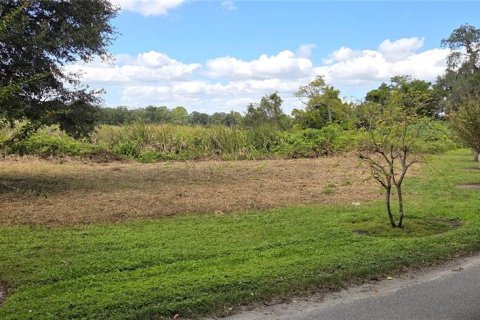 Land in Orlando, Florida № 2115401 - photo 13