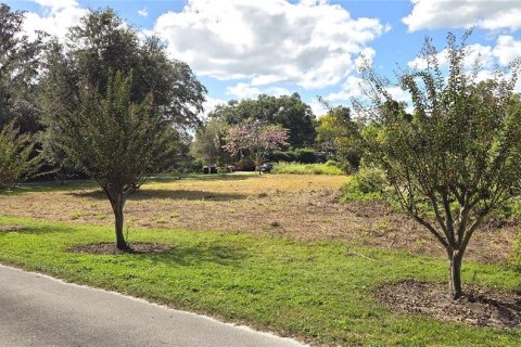 Land in Orlando, Florida № 2115401 - photo 9