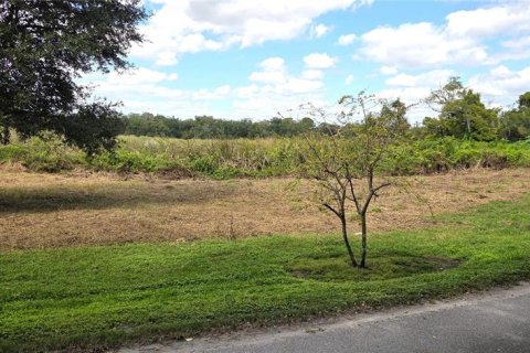 Land in Orlando, Florida № 2115401 - photo 6