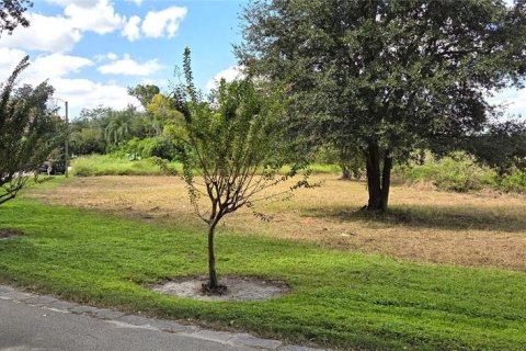 Land in Orlando, Florida № 2115401 - photo 7