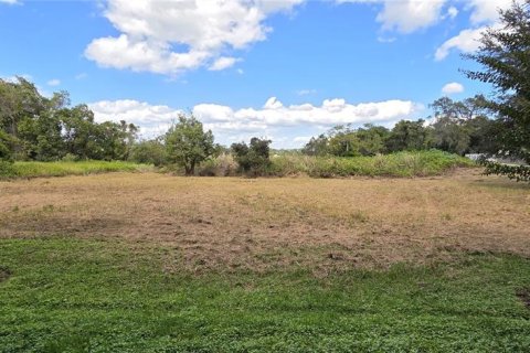 Land in Orlando, Florida № 2115401 - photo 4