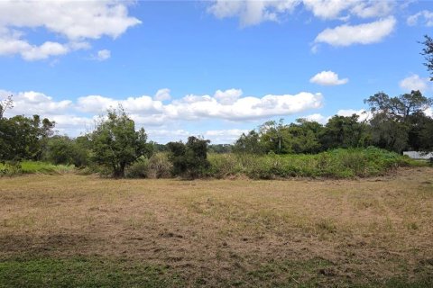 Land in Orlando, Florida № 2115401 - photo 5