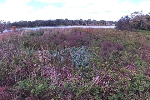 Land in Orlando, Florida № 2115401 - photo 12