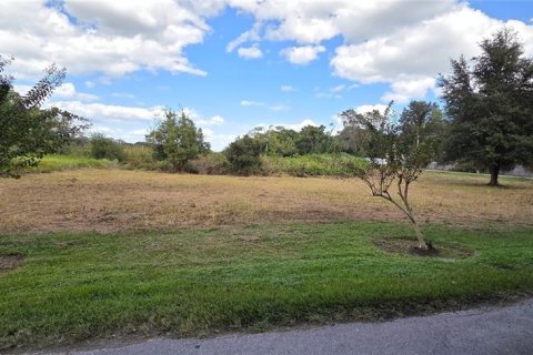 Land in Orlando, Florida № 2115401 - photo 8