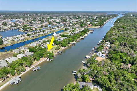 Terreno en venta en Palm Coast, Florida № 1636491 - foto 12