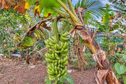 Купить виллу или дом в Холливуд, Флорида 3 спальни, 95.69м2, № 2043723 - фото 13