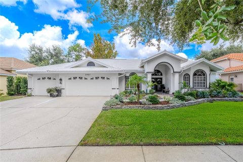 Villa ou maison à vendre à Palm Harbor, Floride: 3 chambres, 208.47 m2 № 1907836 - photo 1