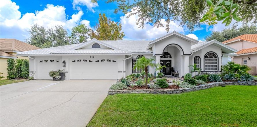 Villa ou maison à Palm Harbor, Floride 3 chambres, 208.47 m2 № 1907836