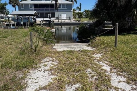 Land in Punta Gorda, Florida № 2105177 - photo 5