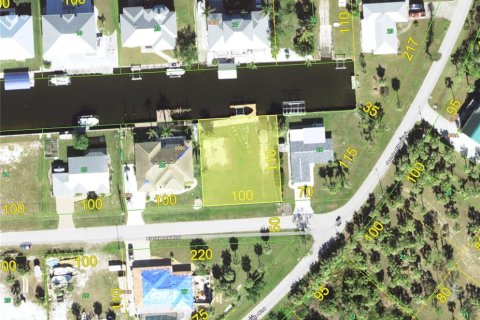 Terrain à Punta Gorda, Floride № 2105177