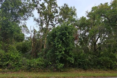 Land in New Port Richey, Florida № 2165989