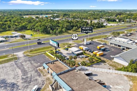 Commercial property in Hudson, Florida 121.79 sq.m. № 2218597 - photo 4