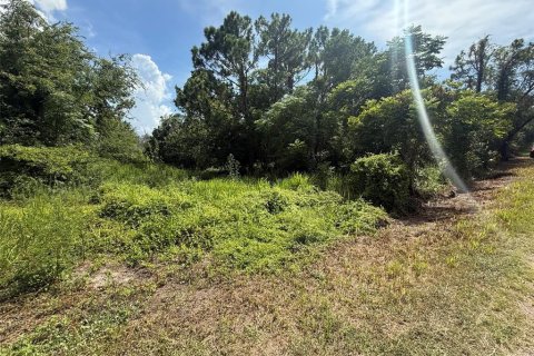 Land in Brooksville, Florida № 2295037