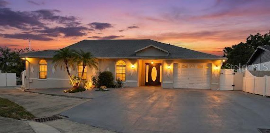 Casa en Tampa, Florida 4 dormitorios, 231.51 m2 № 2387485