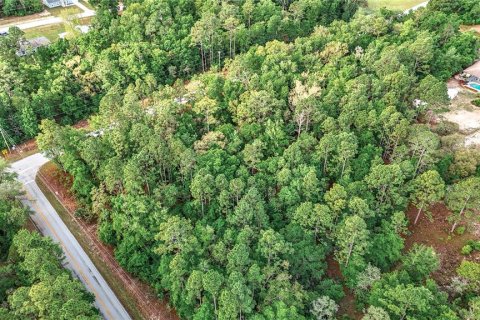 Land in Dunnellon, Florida № 1624781 - photo 23