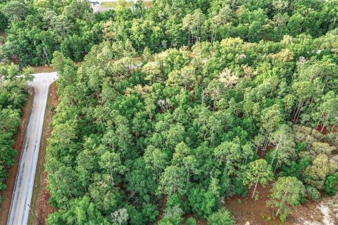 Land in Dunnellon, Florida № 1624781 - photo 24