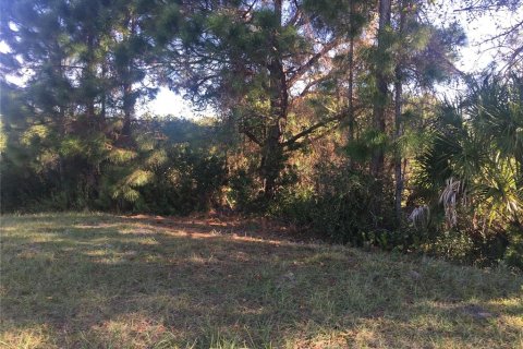 Land in Rotonda, Florida № 2230848 - photo 3