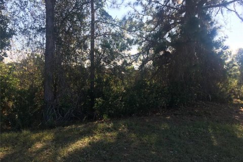Land in Rotonda, Florida № 2230848 - photo 4