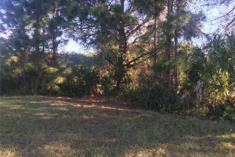 Land in Rotonda, Florida № 2230848 - photo 5