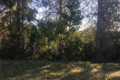 Land in Rotonda, Florida № 2230848 - photo 6