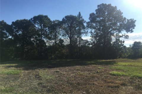 Land in Rotonda, Florida № 2230848 - photo 2