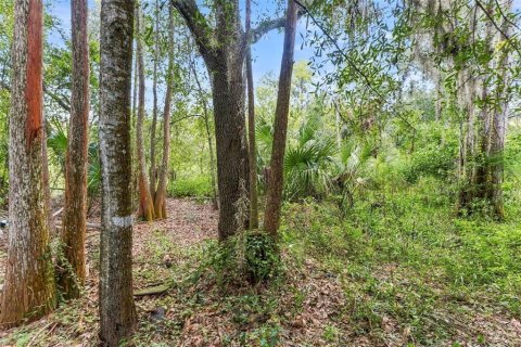 House in Lutz, Florida 4 bedrooms, 155.33 sq.m. № 2406671 - photo 19