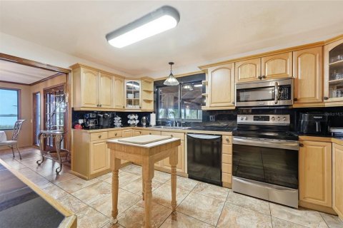 Villa ou maison à vendre à Lake Placid, Floride: 4 chambres, 575.25 m2 № 2091655 - photo 7