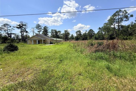 Commercial property in Jasper, Florida 480.77 sq.m. № 2199005 - photo 3