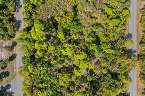 Land in Port Charlotte, Florida № 2163532 - photo 13