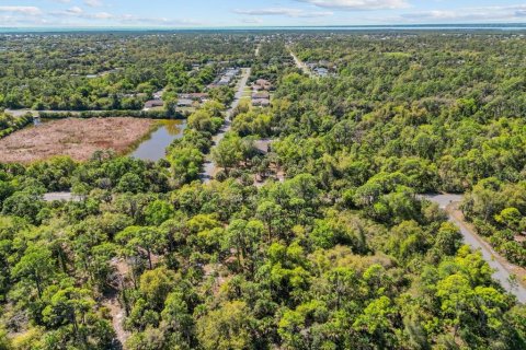 Land in Port Charlotte, Florida № 2163532 - photo 12