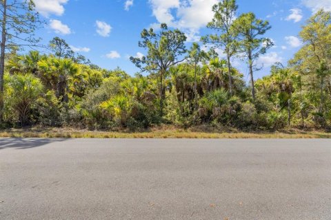 Land in Port Charlotte, Florida № 2163532
