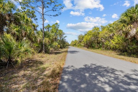 Land in Port Charlotte, Florida № 2163532 - photo 7